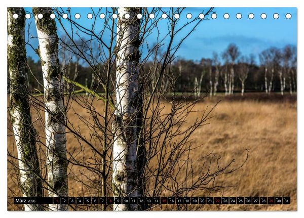 Produktbild: Worpswede - K&uuml;nstlerdorf unter weitem Himmel (Tischkalender 2026 DIN A5 quer), CALVENDO Monatskalender