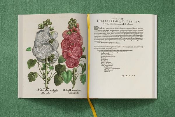 Produktbild: Basilius Besler. The Garden at Eichst&auml;tt