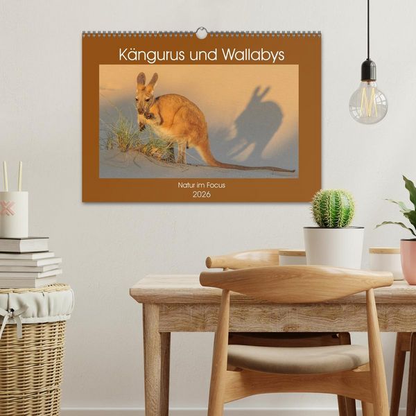 Produktbild: K&auml;ngururs und Wallabys (Wandkalender 2026 DIN A3 quer), CALVENDO Monatskalender