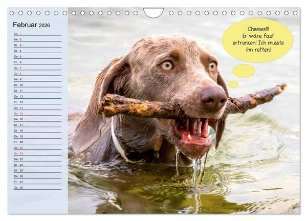 Produktbild: Hurra! Wir gehen Gassi! Abenteuer mit dem Hund! (Wandkalender 2026 DIN A4 quer), CALVENDO Monatskalender