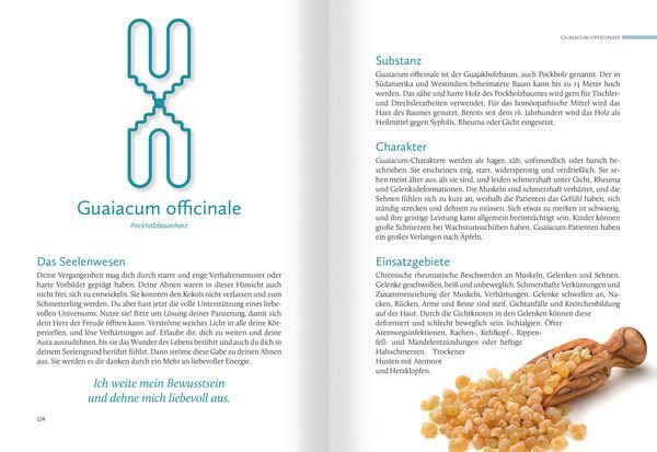 Produktbild: Hom&ouml;opathische Symbolapotheke. 70 wichtige "Kleine Mittel"
