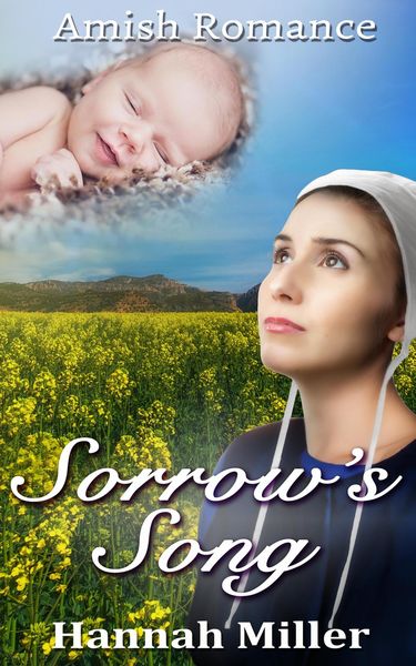 Produktbild: Sorrow's Song - Christian Amish Romance