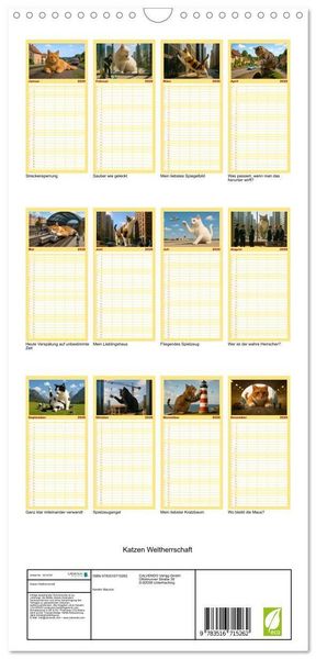 Produktbild: Familienplaner 2026 - Katzen Weltherrschaft mit 5 Spalten (Wandkalender, 21 x 45 cm) CALVENDO