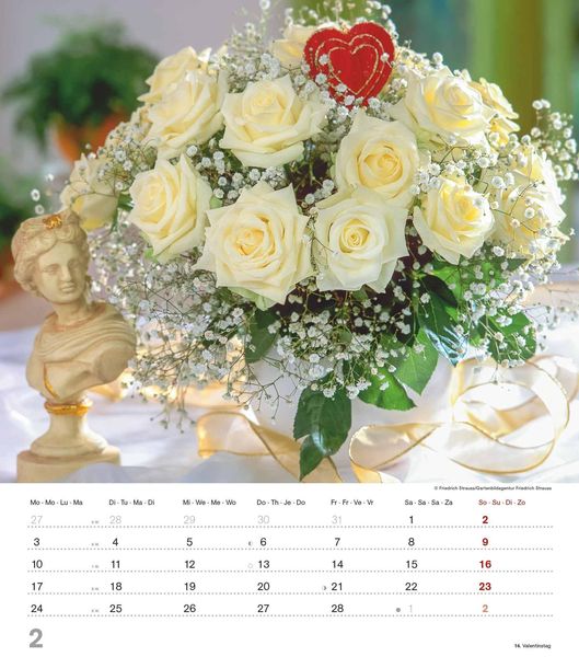 Produktbild: Alpha Edition - Der Duft der Rosen 2025 Bildkalender, 30,x34cm, Kalender mit sch&ouml;nen Bildmotiven f&uuml;r jeden Monat, Monats&uuml;bersicht, Feiertage DE/AT/CH und internationales Kalendarium