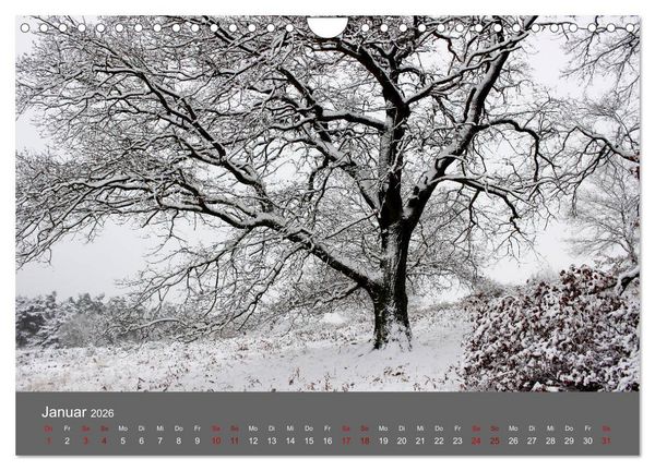 Produktbild: Wahner Heide - Aussichten und Begegnungen (Wandkalender 2026 DIN A4 quer), CALVENDO Monatskalender