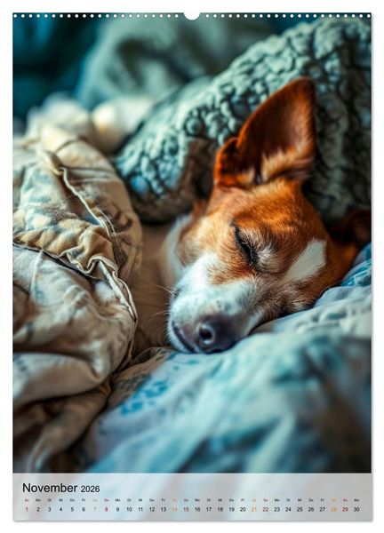 Produktbild: Jack Russel Terrier - furchtlos und viel Selbstvertrauen (Wandkalender 2026 DIN A2 hoch), CALVENDO Monatskalender