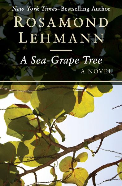 Produktbild: A Sea-Grape Tree