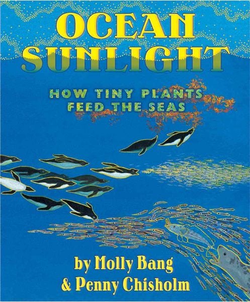 Produktbild: Ocean Sunlight: How Tiny Plants Feed the Seas