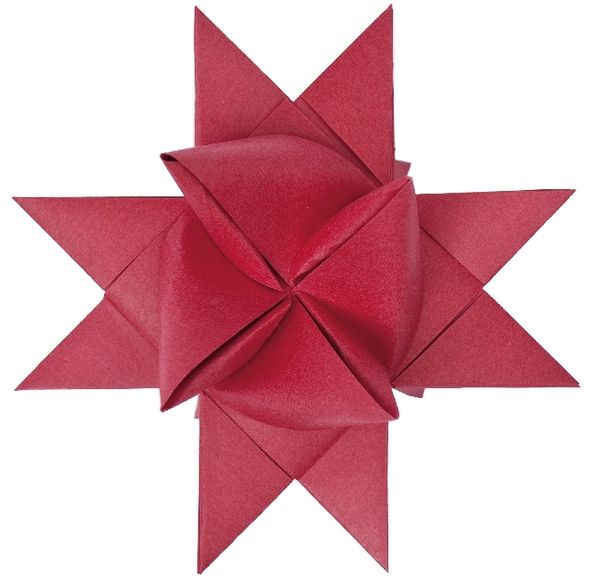 Produktbild: Fr&ouml;belsterne bordeaux