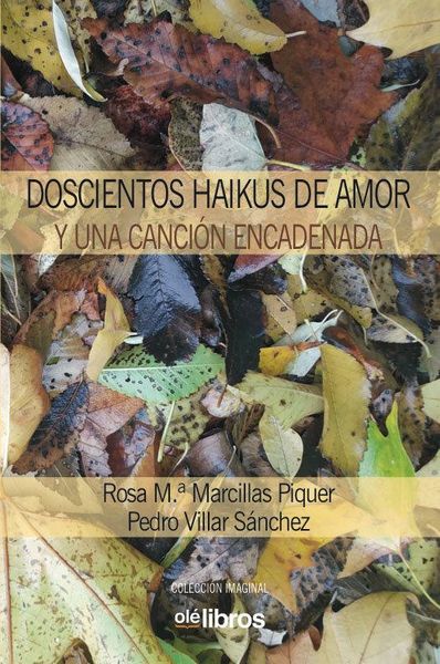 Produktbild: Doscientos haikus de amor y una canci&oacute;n encadenada