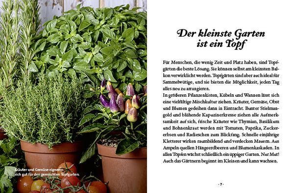 Produktbild: Das kleine Buch: Topfg&auml;rtner