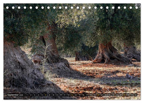 Produktbild: Apulien &ndash; Impressionen vom S&uuml;dosten Italiens (Tischkalender 2026 DIN A5 quer), CALVENDO Monatskalender