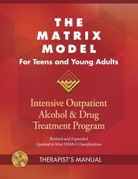 Produktbild: The Matrix Model for Teens and Young Adults Three Manuals