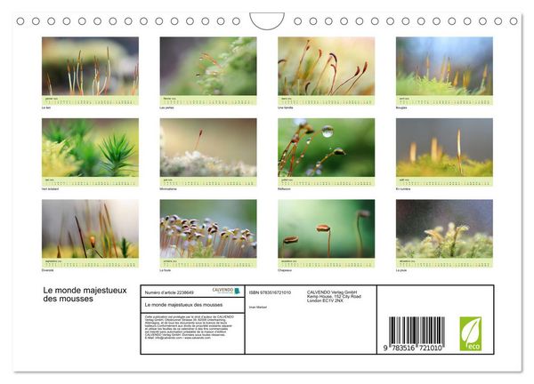 Produktbild: Le monde majestueux des mousses (Calendrier mural 2026 DIN A4 vertical), CALVENDO calendrier mensuel