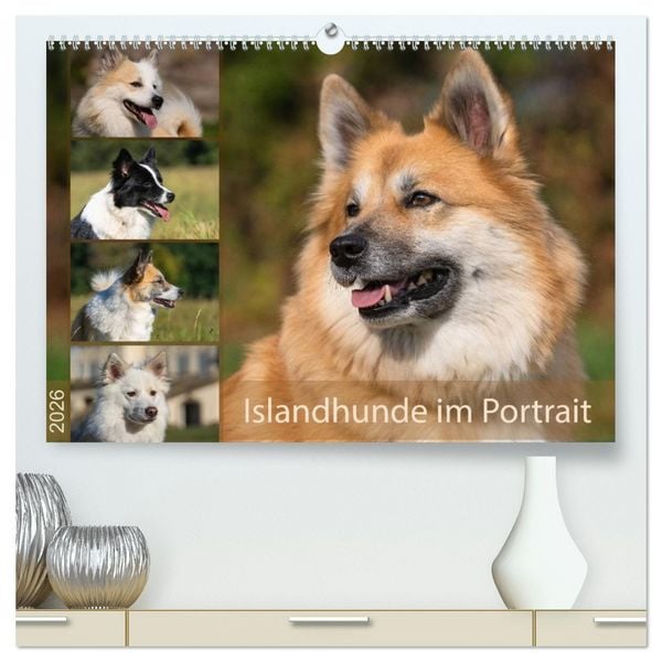 Produktbild: Islandhunde im Portrait (hochwertiger Premium Wandkalender 2026 DIN A2 quer), Kunstdruck in Hochglanz