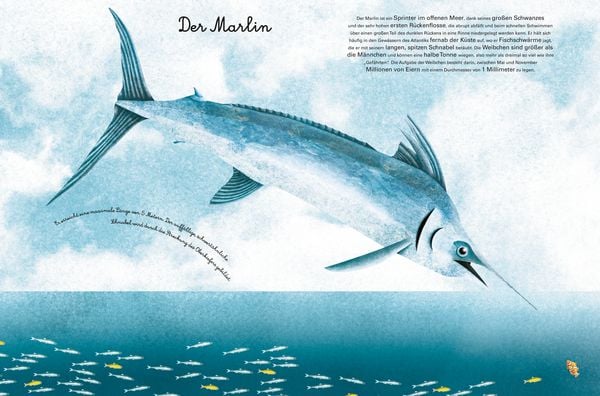 Produktbild: Das gro&beta;e Buch der Seetiere. Das kleine Buch der Seetiere