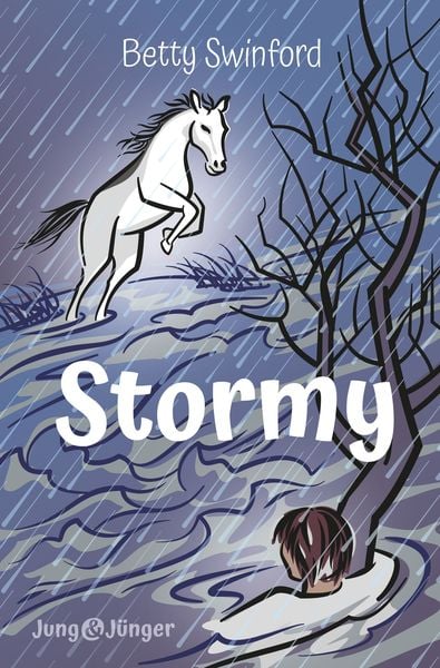 Stormy, Taschenbuch von Betty Swinford, Christliche Literaturverbreitung, 978-3-86699-766-0