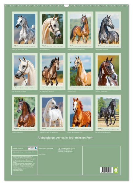 Produktbild: Araberpferde. Anmut in ihrer reinsten Form (Wandkalender 2027 DIN A2 hoch), CALVENDO Monatskalender