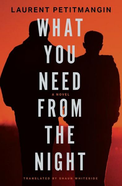 Produktbild: What You Need from the Night