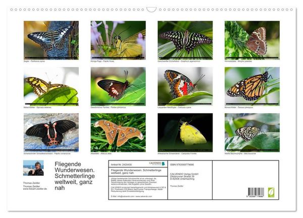 Produktbild: Fliegende Wunderwesen. Schmetterlinge weltweit, ganz nah (Wandkalender 2027 DIN A2 quer), CALVENDO Monatskalender