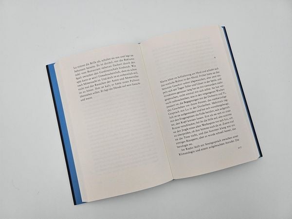 Produktbild: Das Verschwinden der Welt