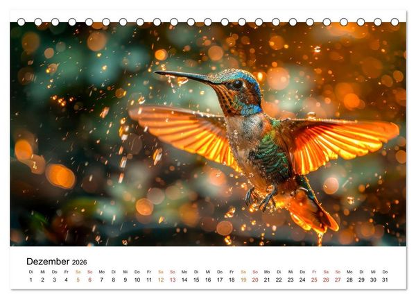 Produktbild: Kolibris - kleine Wunder der Natur (Tischkalender 2026 DIN A5 quer), CALVENDO Monatskalender