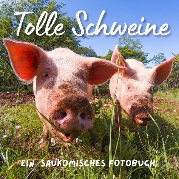 Produktbild: Tolle Schweine