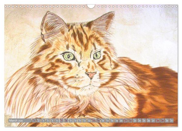 Produktbild: Beautiful cat portraits (Wall Calendar 2026 DIN A3 landscape), CALVENDO 12 Month Wall Calendar