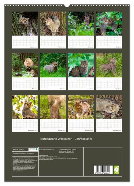 Produktbild: Europ&auml;ische Wildkatzen - Jahresplaner (hochwertiger Premium Wandkalender 2026 DIN A2 hoch), Kunstdruck in Hochglanz
