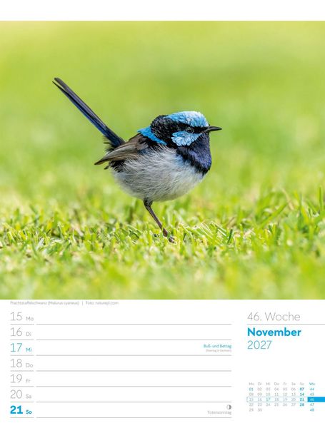 Produktbild: V&ouml;gel Wochenplaner Kalender 2027