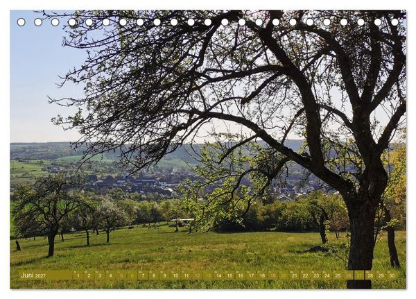 Produktbild: Apfelbaum und Streuobstwiesen (Tischkalender 2027 DIN A5 quer), CALVENDO Monatskalender