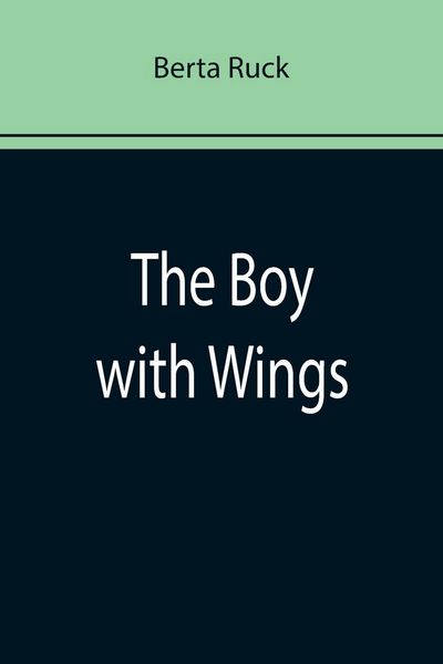 Produktbild: The Boy with Wings