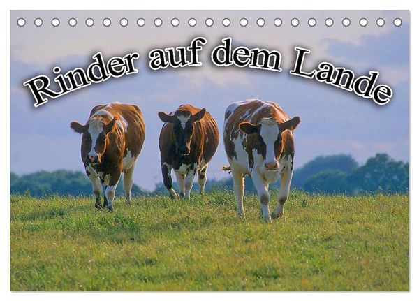 Rinder auf dem Lande (Tischkalender 2026 DIN A5 quer), CALVENDO Monatskalender