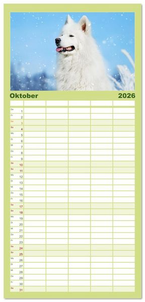 Produktbild: Familienplaner 2026 - Der Samojede - Sch&ouml;nheit des Nordens mit 5 Spalten (Wandkalender, 21 x 45 cm) CALVENDO