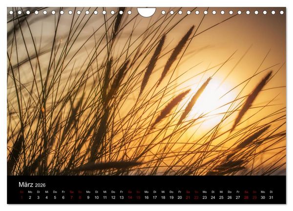 Produktbild: Wundersame Natur in Deutschland (Wandkalender 2026 DIN A4 quer), CALVENDO Monatskalender