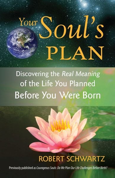 Produktbild: Your Soul's Plan