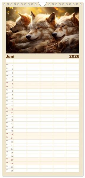 Produktbild: Familienplaner 2026 - Wenn sie schlafen... mit 5 Spalten (Wandkalender, 21 x 45 cm) CALVENDO