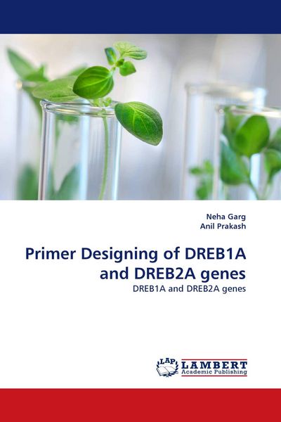 Produktbild: Primer Designing of DREB1A and DREB2A genes