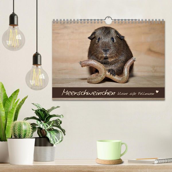 Produktbild: Meerschweinchen - Kleine s&uuml;&szlig;e Fellnasen (Wandkalender 2026 DIN A4 quer), CALVENDO Monatskalender