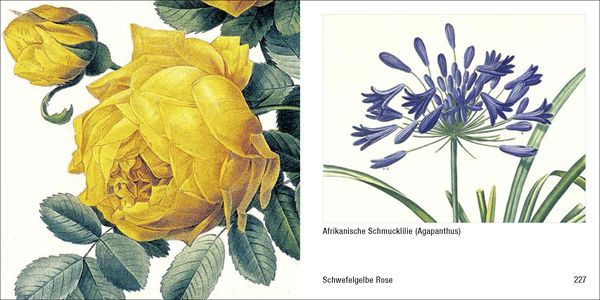 Produktbild: Historische Blumenbilder &ndash; Book To Go