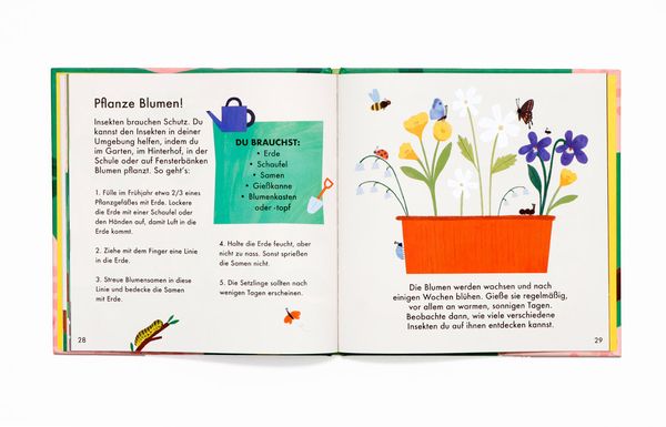 Wunderbarer Wald: Insekten und Blumen