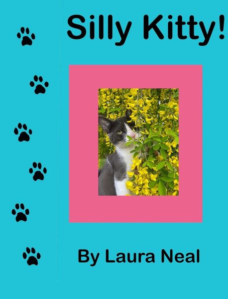 Produktbild: Silly Kitty!