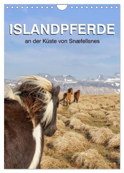 Produktbild: ISLANDPFERDE an der K&uuml;ste von Sn&aelig;fellsnes (Wandkalender 2026 DIN A4 hoch), CALVENDO Monatskalender