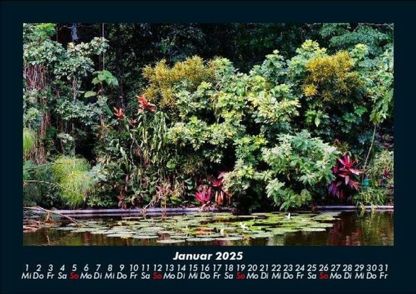 Produktbild: Natur Pur 2025 Fotokalender DIN A5