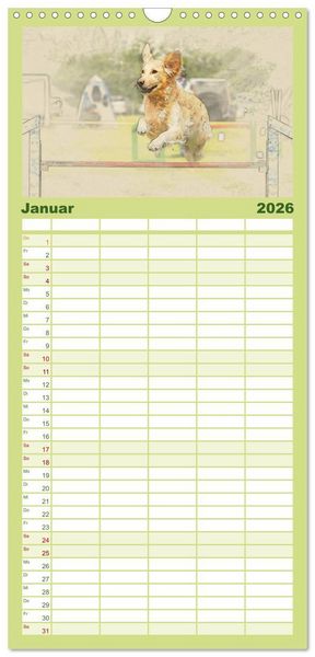 Produktbild: Familienplaner 2026 - Golden Retriever mit 5 Spalten (Wandkalender, 21 x 45 cm) CALVENDO