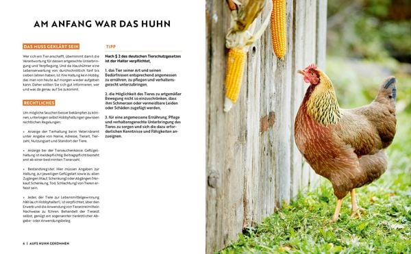 Produktbild: Gartenmomente: H&uuml;hner