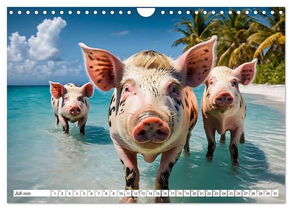 Produktbild: Schwimmende Schweine im Paradies (Wandkalender 2026 DIN A4 quer), CALVENDO Monatskalender