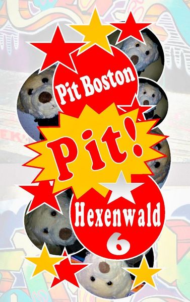 Produktbild: Pit! Hexenwald