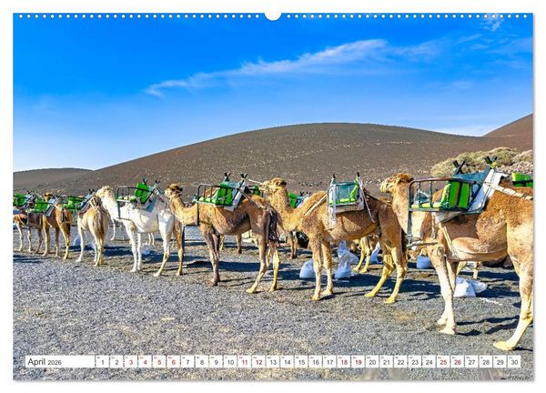 Produktbild: Lanzarote - Wo die Vulkane die Landschaft formten (hochwertiger Premium Wandkalender 2026 DIN A2 quer), Kunstdruck in Hochglanz