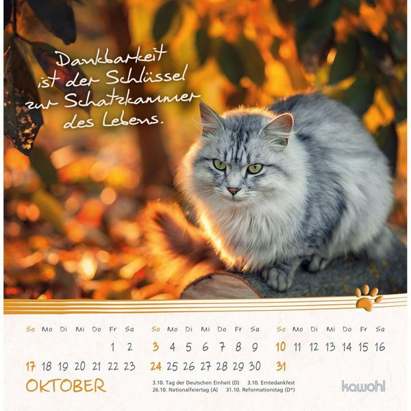 Produktbild: Kleine Katzen-Tatzen 2027
